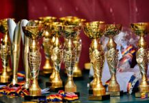 Palmaresul Festivalului Național de Balet și Dans Modern “ÎN PAȘI DE DANS SPRE INFINIT”, ediția a IX-a