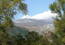 ATITUDINI ESTIVALE – În lumea salamandrelor pe Șușița Verde