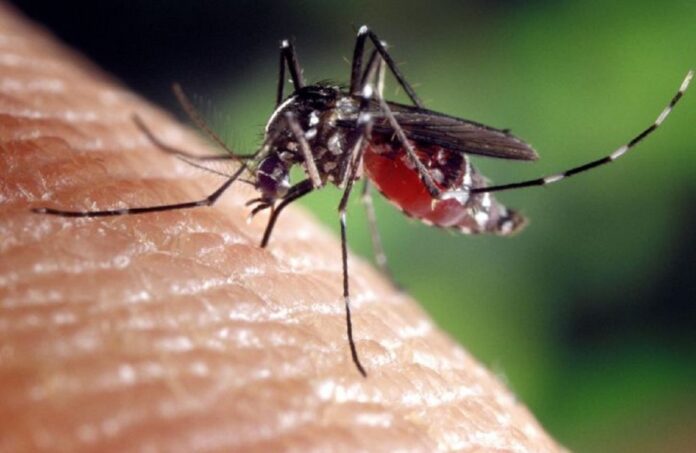 27 de cazuri de infecţie cu virusul West Nile