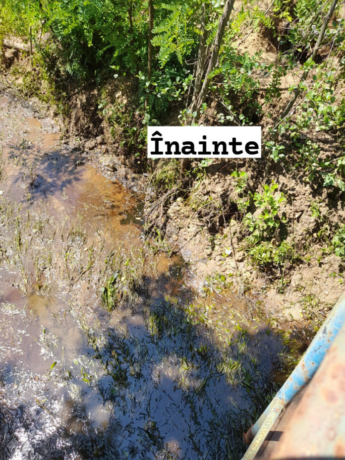 Au poluat cu țiței un pârâu din Țicleni. Amendă uriașă!