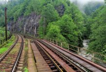 Trenuri întârziate din cauza defecțiunii unui marfar