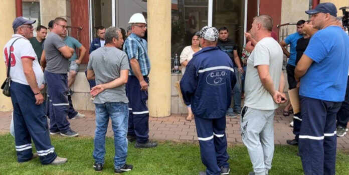 37f1fa72-13a7-493a-aa06-d55da1531684