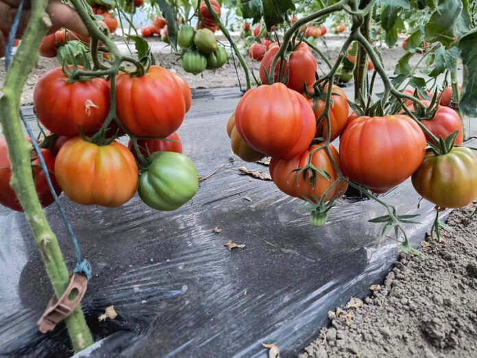 71f352f3-ee9f-4a27-a8a0-e6ebfd094446