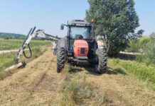 SGA Gorj continuă lucrările de menținere a digurilor apelor din județ