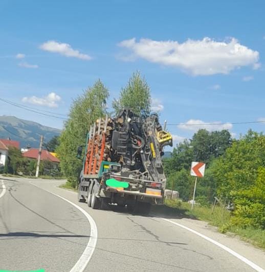 Novaci: Transporta lemne fără documente