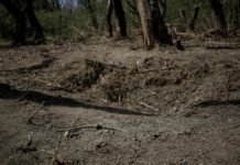 Resturi de drone rusești, descoperite la granița cu România. Reacția MApN