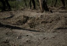 MApN: Resturi de dronă au fost găsite în zona localității Ceatalchioi