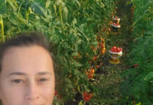 Și-a vândut legumele din solar în scop nobil!