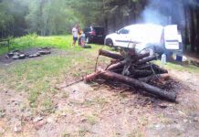 Sancțiuni multiple, aplicate de jandarmii gorjeni pentru faptele antisociale