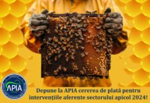 Ultimele zile pentru apicultori de depunere la APIA a cererilor de plată