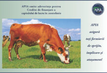 APIA eliberează adeverințe fermierilor crescători de animale care doresc să acceseze credite bancare