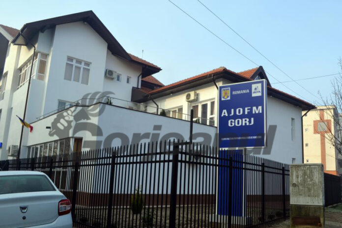 Nouă cursuri de formare profesională debutează la AJOFM