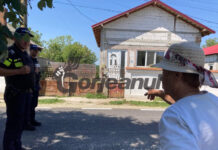 Amor la 70 de ani! Bătută și abuzată de fostul partener!