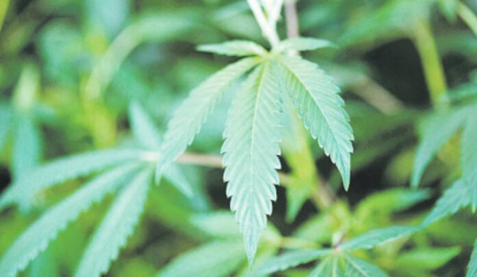 Pericol! Droguri în dulciurile consumate de copii