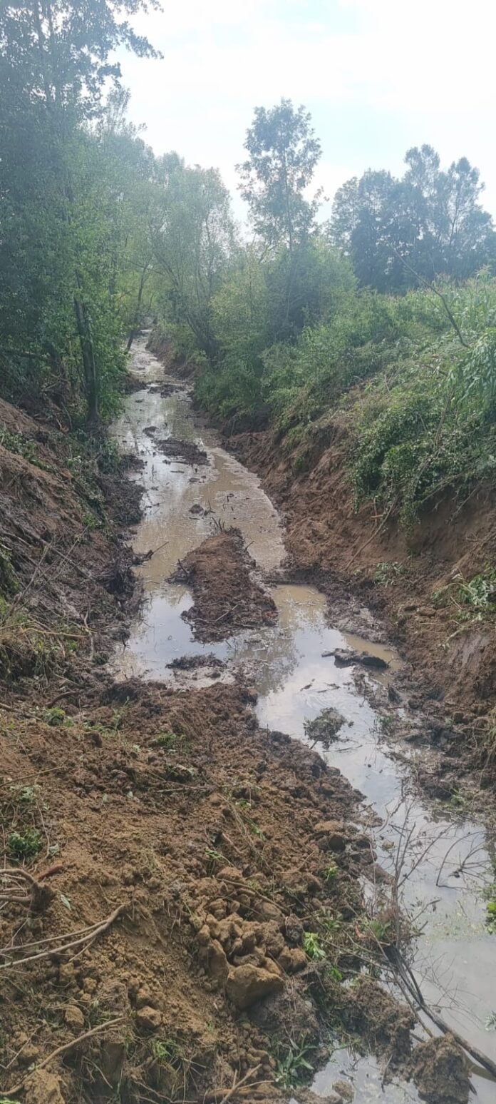 Borăscu: SGA Gorj a început decolmatarea pârâului Jilț