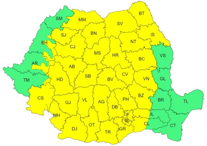 Cod galben de vijelii