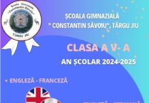 Ateliere gratuite de limba germană, la Școala Gimnazială ,,Constantin Săvoiu”