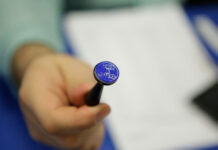 Se recrutează noi experți electorali