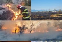 ISU Gorj: Peste 500 de incendii de vegetație