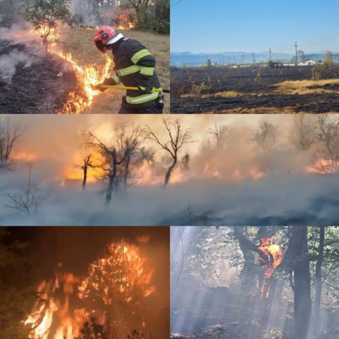 ISU Gorj: Peste 500 de incendii de vegetație