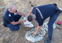 Braconaj piscicol la Crasna. Dosar penal pentru patru persoane