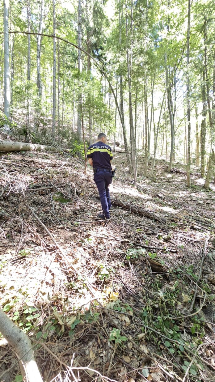 Dosar penal și amendă de 10.000 de lei pentru Ocolul Silvic Eparhial Gorj