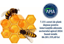 APIA: 7.151 cereri de plată depuse pentru intervenţiile aferente sectorului apicol