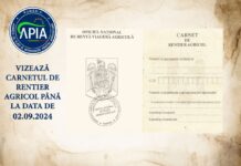 APIA: 2 septembrie, termen final de vizare a carnetelor de rentă viageră