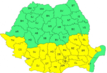 Cod galben de caniculă