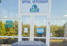 Gorj: Cățelusă salvată de Serviciul public pentru protecția animalelor