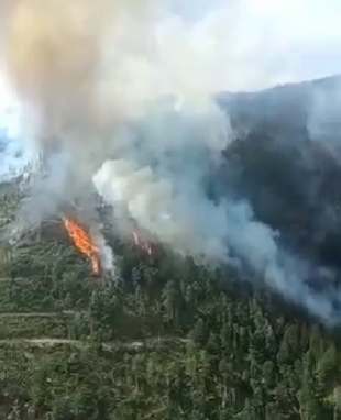 VIDEO, Gorj: 80 de hectare de pădure cuprinse de flăcări. Se va interveni cu elicopterele și în Masivul Parâng