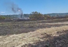 FOTO/VIDEO| Au ars peste 10 hectare și două anexe la Crasna