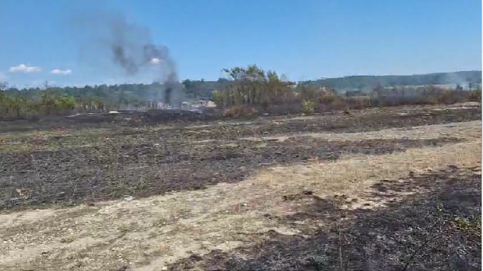 FOTO/VIDEO| Au ars peste 10 hectare și două anexe la Crasna