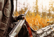 Condamnat după ce a vrut să împuște ilegal vulpi și șacali!