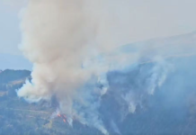 VIDEO| Incendiu puternic la munte. Avertizare pentru turiștii aflați în Parândul Mare