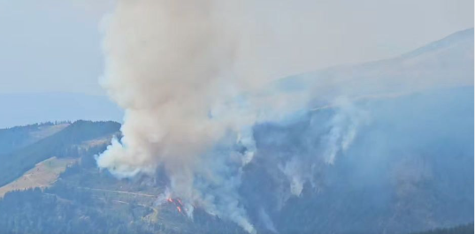 VIDEO| Incendiu puternic la munte. Avertizare pentru turiștii aflați în Parândul Mare
