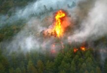 Crasna: Câmp cuprins de flăcări. Casă posibil afectată