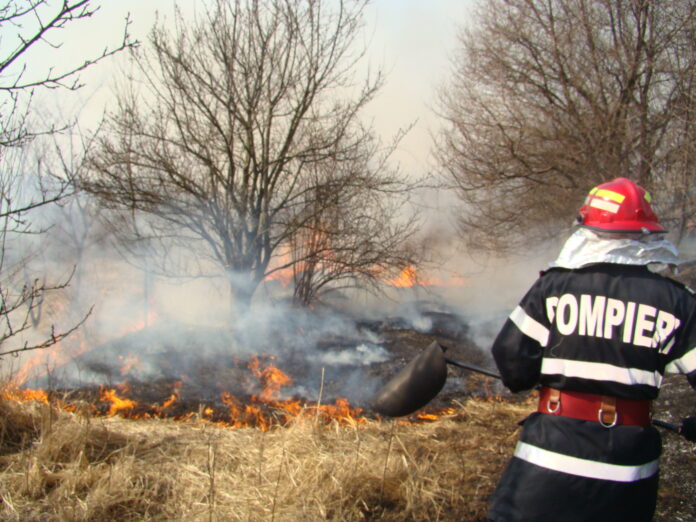 Romsilva: Gorjul, pe primul loc la numărul incendiilor care au afectat fondul forestier