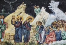 Viaţa Spirituală – Calea, Lumina, Adevărul şi Viaţa! – Dumnezeu are milă și de trupurile oamenilor, nu numai de sufletele lor, pentru că Se milostivește și de suferințele trupești și le vindecă, uneori, chiar înaintea sufletelor!