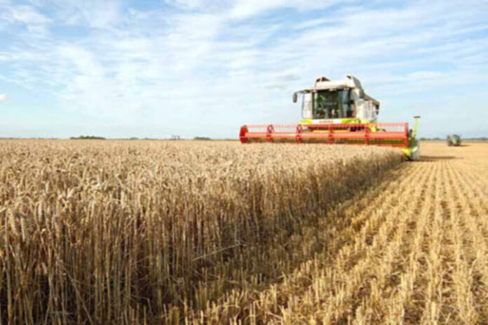 recoltarea-cerealelor