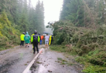 O ploaie torențială a întrerupt circulația