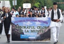 Repere autumnale – La mijloc de răpciune – COBOARĂ OILE DIN MUNȚII GORJULUI