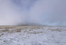 VIDEO: A nins pe Transalpina!