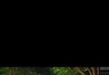 Anunț pentru localnicii din Mușetești