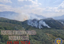 Zonele din Gorj și alte două județe din Oltenia, sub monitorizarea DSU