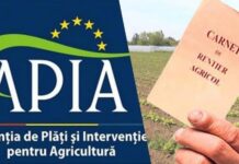APIA: Câți rentieri din Gorj au fost autorizați la plată