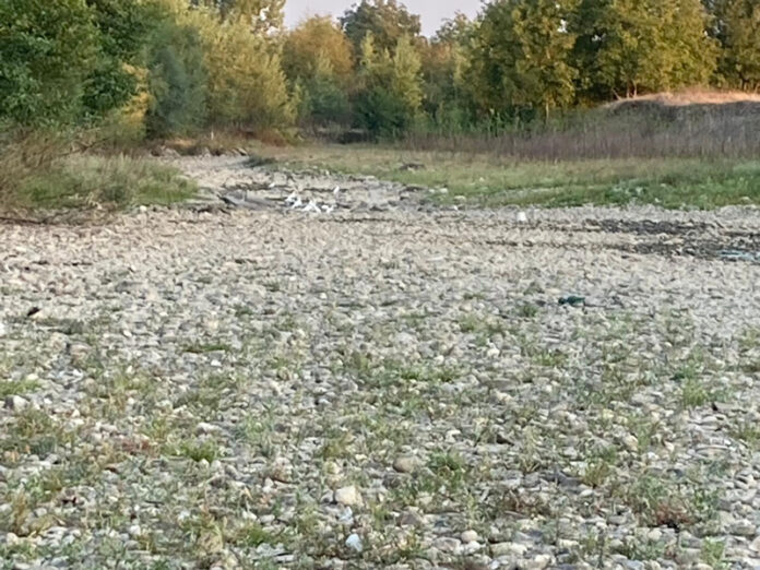 WhatsApp-Image-2024-09-03-at-13.08