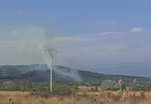 Încă un incendiu de vegetație