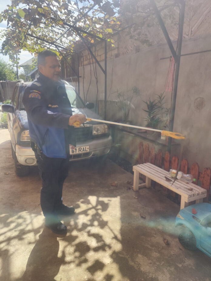 FOTO, Izvarna: Viperă în gospodărie. A fost capturată și eliberată în mediul natural