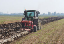 Agricultura pe înțelesul tuturor – Înființarea culturilor de toamnă